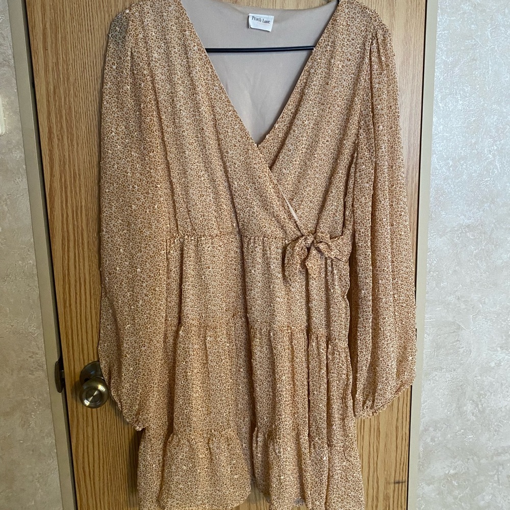 Worn once. Long sleeve leopard print dress.